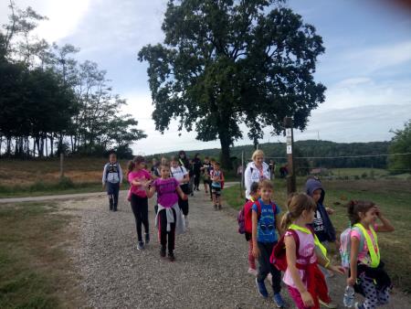 Evropski teden mobilnosti in projekt lokalna kakovost za globalno uspešnost 6